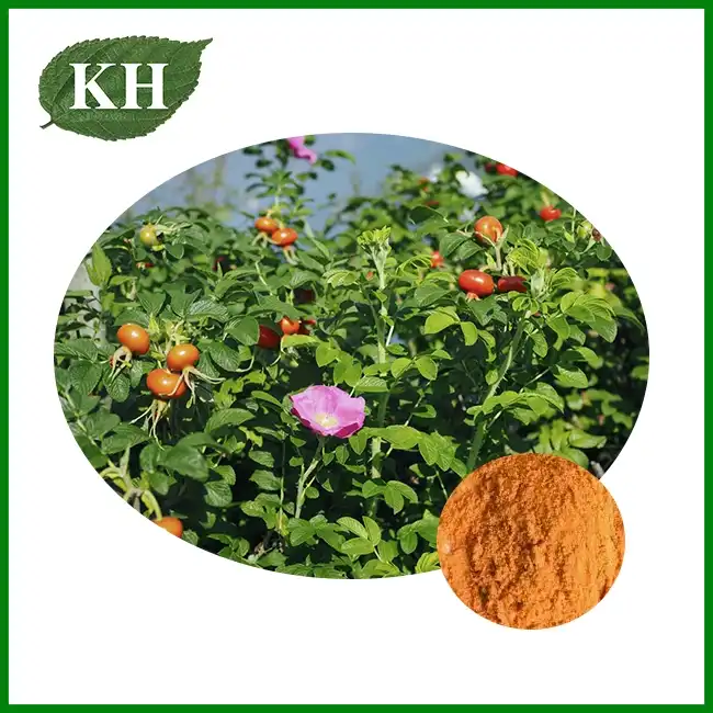 Rosehip Powder — ZAC Biotech Co., Ltd.